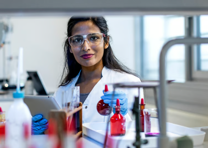 satisfacao-no-trabalho-card-image